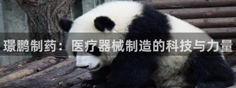 恒行娱乐毓婆74ooo5仪