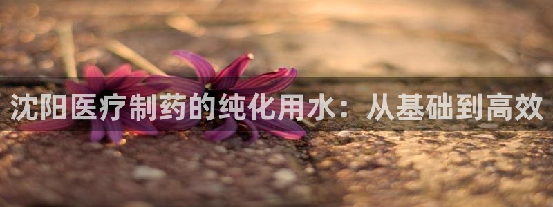 恒行2杨74OOO5
