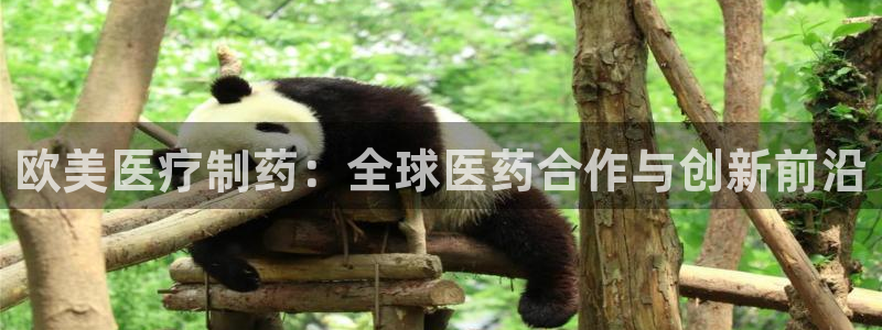 恒行2吴74OOO5