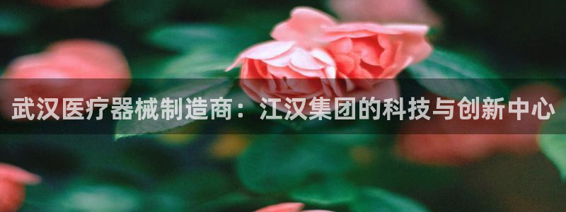 恒行娱乐招收点赞5ll533主管