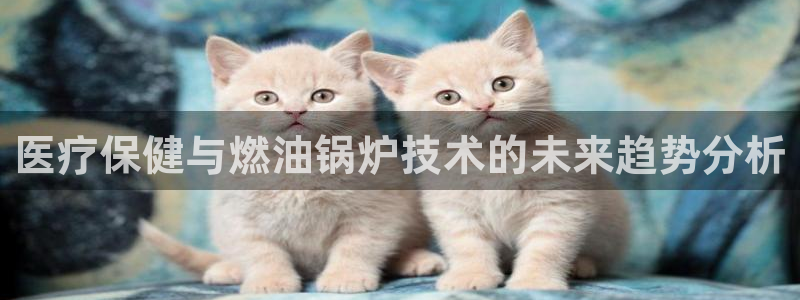 恒行2郑74OOO5