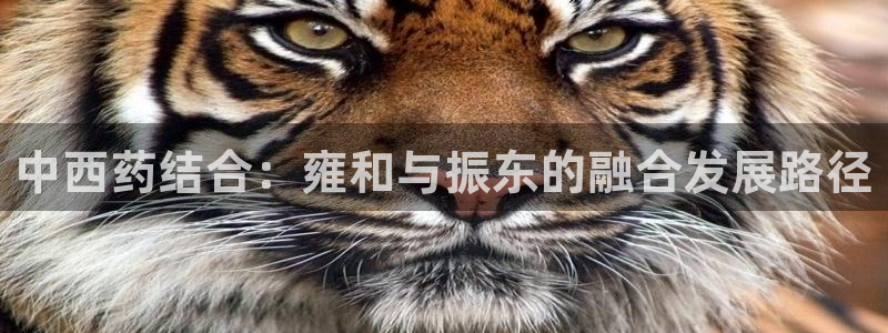 恒行2褚74OOO5