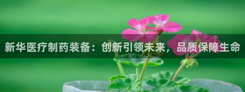 恒行娱乐5ll533主管优雅