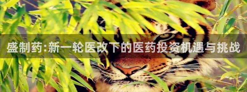 恒行2王74OOO5
