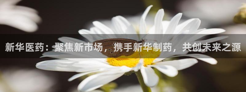 恒行2蒋74OOO5