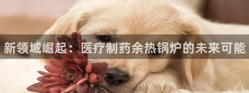 恒行2杨74OOO5