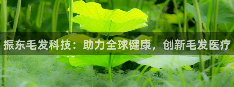 恒行2蒋74OOO5