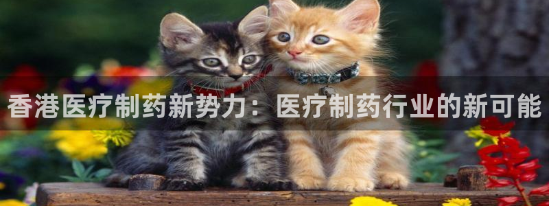 恒行2周74OOO5