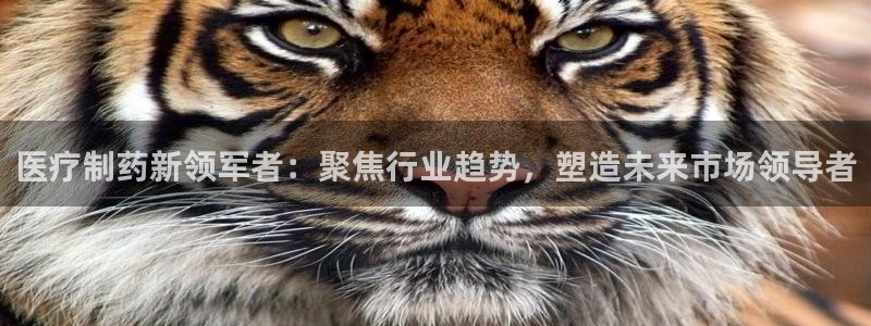恒行2吴74OOO5