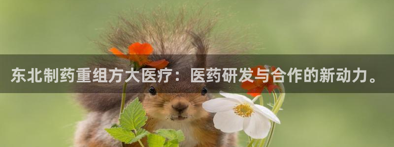 恒行2朱74OOO5