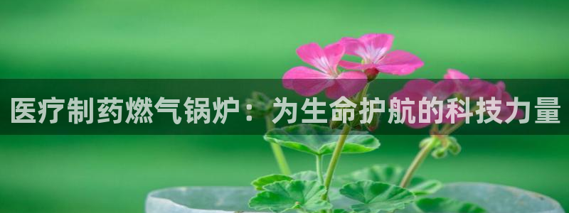 恒行2韩74OOO5