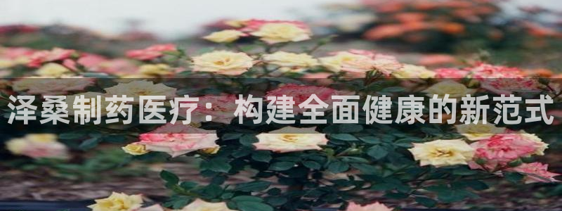 恒行开户全2O5o5O