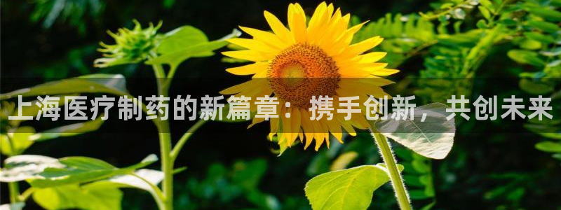 恒行招商老大诚挚 6ll5l