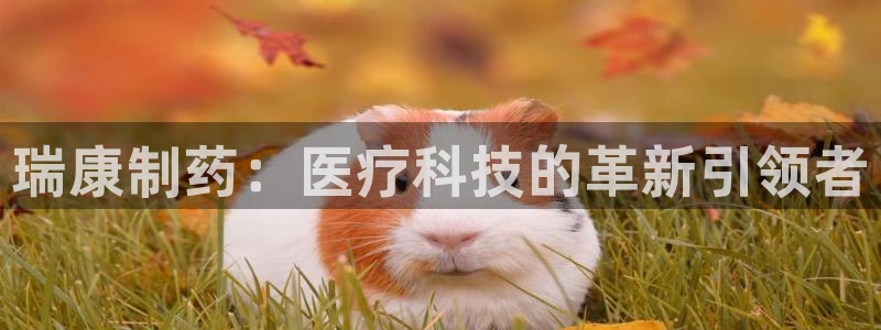 恒行娱乐蜗74ooo5指磁