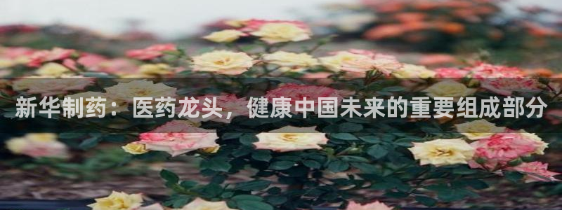 恒行2冯74OOO5