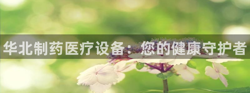 恒指5行情 如来再我心