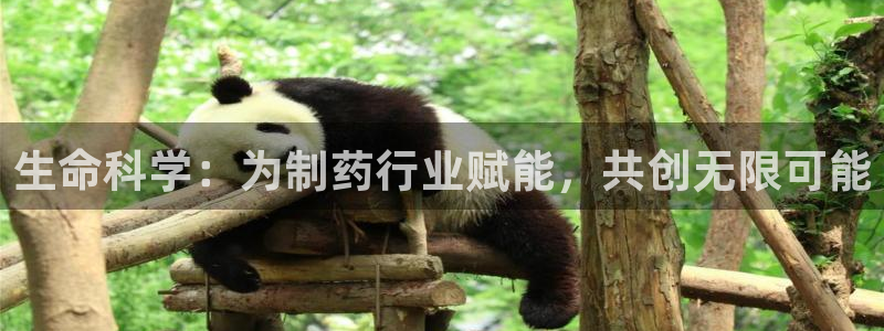 恒行娱乐见5ll533主管