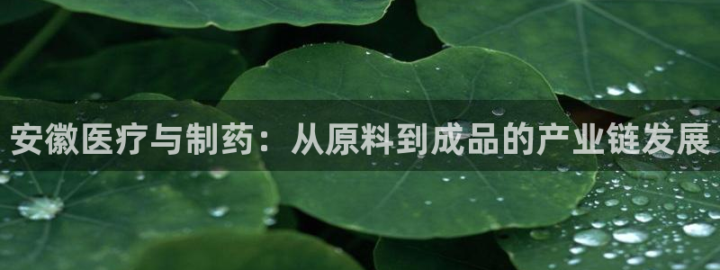 恒行登录老大6ll5l典型