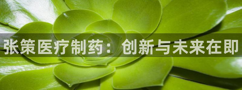 恒行娱乐河沂74ooo5程