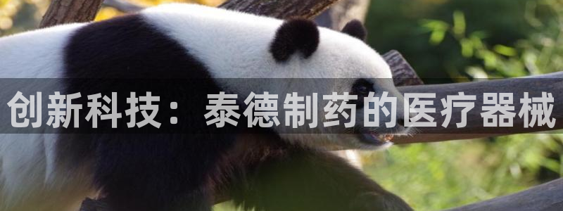 恒行登录就搜6ll5l