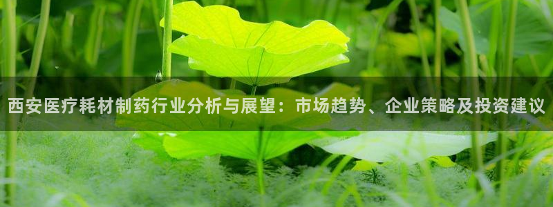 恒行代理总代主导 6ll5l