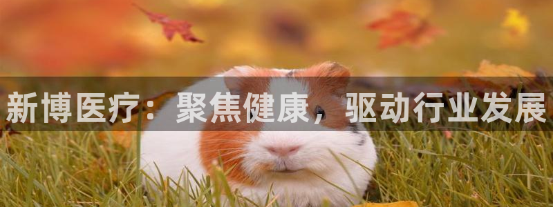 恒行娱乐热74ooo5主宰