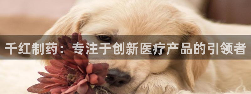 恒行2下74OO5