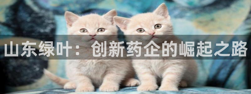 恒行注册招收6ll5l指定