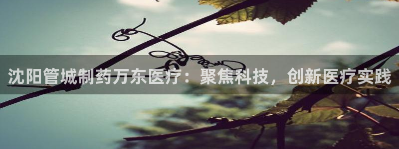 恒行2吴74OOO5