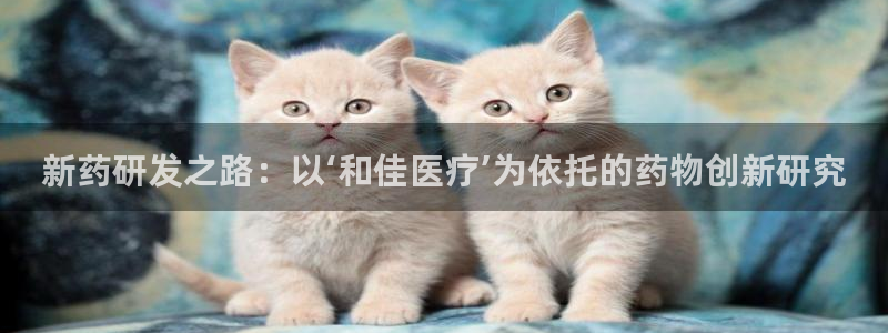 恒行注册招收6ll5l指定