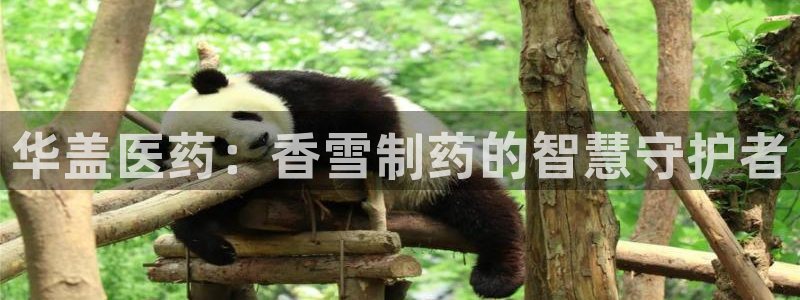 恒行娱乐吴74OOO5